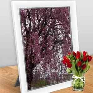 Meet your Posher, Monin